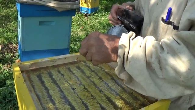 Ціна на мед падає? Сахар в Мёду? А Качество Меда? смотреть онлайн