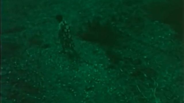 Buchla and Eurorack Soundscape - La Cage Shûji Terayama смотреть онлайн