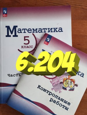 математика 5 класс номер 6.204