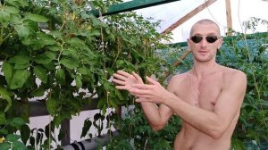 TDS -3 измерения воды.Почему меняеться PPM раствора на гидропонике.