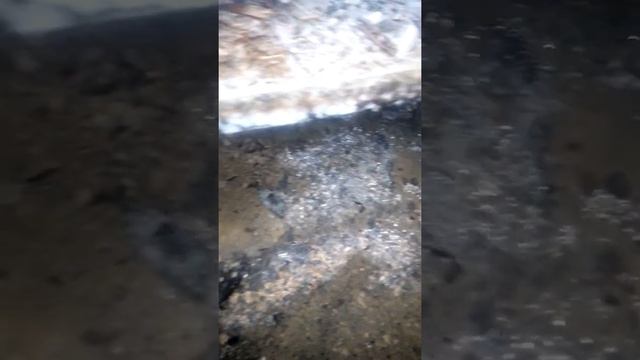 Гриби під підлогою смотреть онлайн
