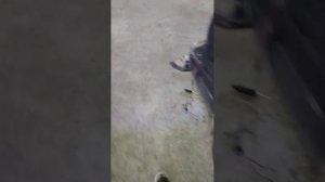 глохнет suzuki противоугонка от suzuki