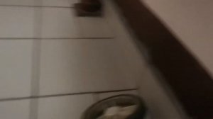 Снятие колес и смазка коляска Rant Largo (рант ларго).