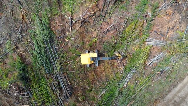 Tigercat LSX870D Shovel Logger in British Columbia смотреть онлайн