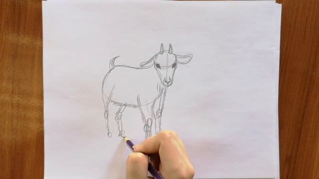 КАК НАРИСОВАТЬ КОЗЛЁНКА!!\HOW TO DRAW A KID EASY!!\ смотреть онлайн