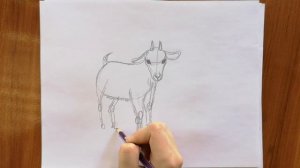 КАК НАРИСОВАТЬ КОЗЛЁНКА!!\HOW TO DRAW A KID EASY!!\