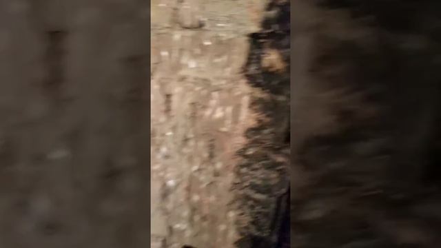обогревательная печь в разрезе смотреть онлайн