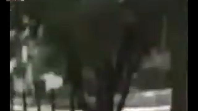 вое в ММДЦ и в Европе и входит в категорию the best # 275 смотреть онлайн