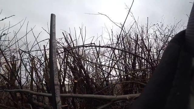 Охота на гуся "СУПЕР НАРЕЗКА", манок №1 Минск смотреть онлайн