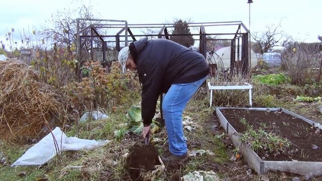 ФИСКАРС ПРОТИВ ЦЕНТРИНСТРУМЕНТА СРАВНИВАЕМ БЮДЖЕТНЫЕ ЛОПАТЫ смотреть онлайн