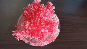 Выращиваем кристаллы из раствора карбамида в домашних условиях