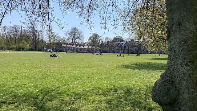 5 THINGS TO DO IN CAMBRIDGE, ENGLAND | Cambridge University | Cambridge Colleges | Punting | Shops