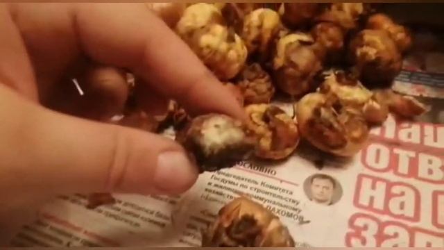Распаковка. Шоубокс. Гладиолусы сорт