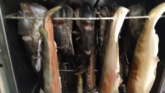 ГРУДИНКА ЩЕКОВИНА ГОРЯЧЕГО КОПЧЕНИЯ В моските смотреть онлайн