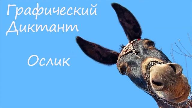Графический Диктант Ослик смотреть онлайн