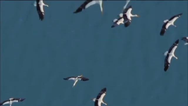 Под куполом неба // Давид МО & Станислав Курницкий смотреть онлайн