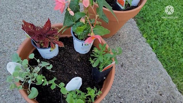 How I Planted My Garden This Year. 2022 Gardening in Saskatchewan смотреть онлайн