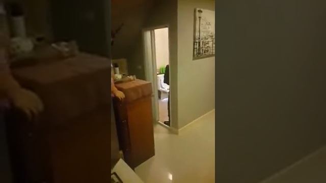 Змея забралась в дом через унитаз