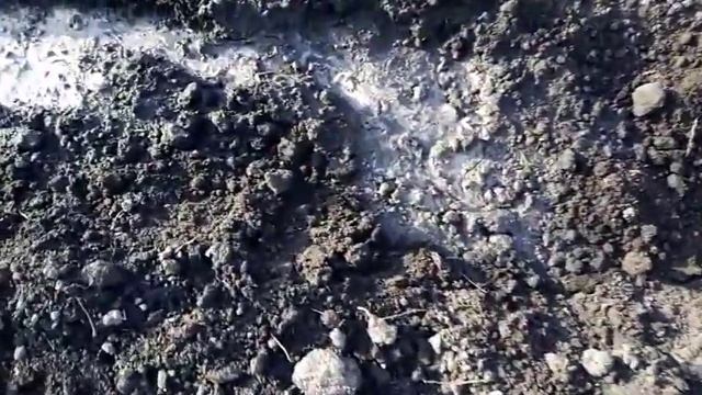Посадка Огурцов "МАЛЫШ". 16.05.2019г. смотреть онлайн