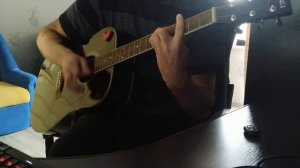 Король и шут Фред на гитаре (cover)