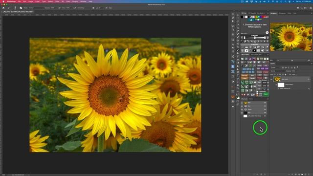 TOPAZ DENOISE AI and SHARPEN AI: My NEW LIGHTROOM WORKFLOW смотреть онлайн