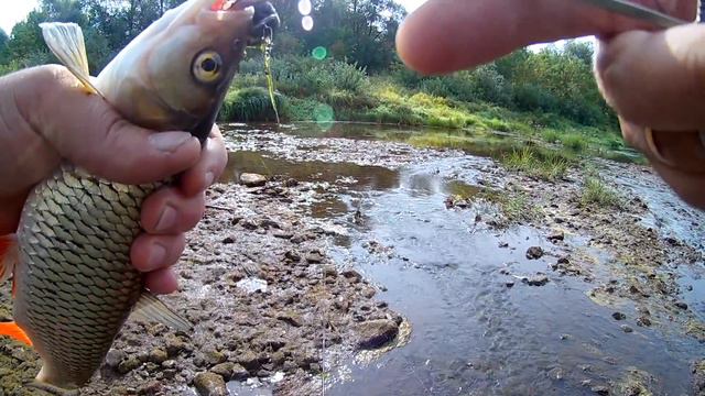 В этот раз обошлось... Рыбалка на ультралайт. Голавль на спиннинг. смотреть онлайн