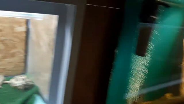 Зоопарк В Сургуте смотреть онлайн