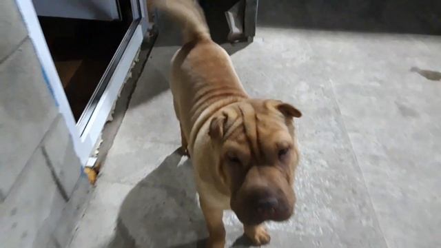 Ставлю болты с эксцентриком,+ вес VOSSEN с резиной.