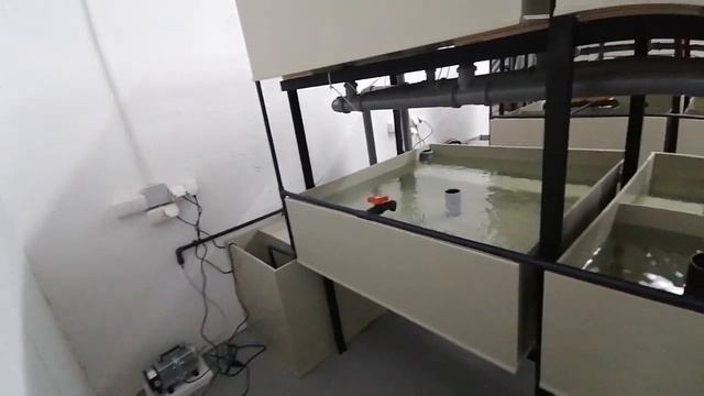 УЗВ для креветки Розенберга и Австралийского рака в Ялте. Компания ООО "Корал Фиш" смотреть онлайн