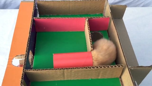 Cute Hamster Jerry in 3D Cube Maze смотреть онлайн