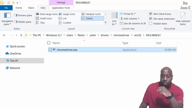 ✔ Selenium WebDriver-Manager: Install Browser Drivers For Python смотреть онлайн