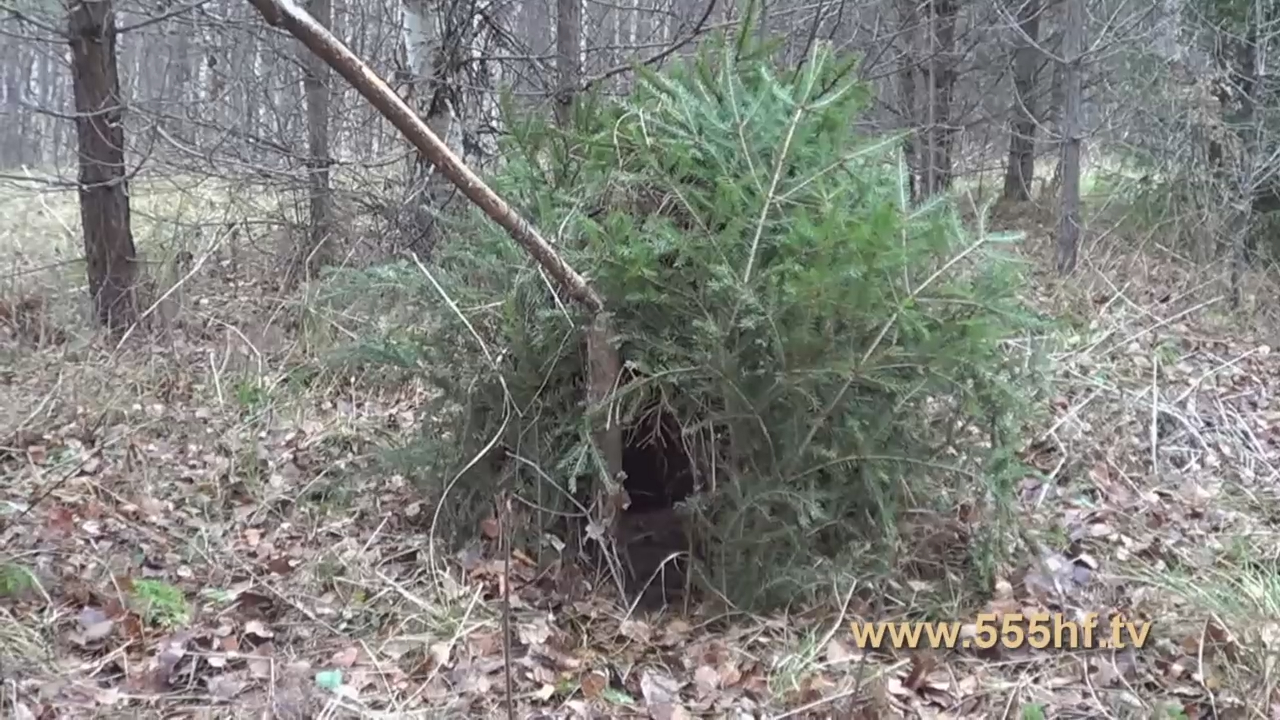 Лов пушного зверя на капкан. Часть 6.