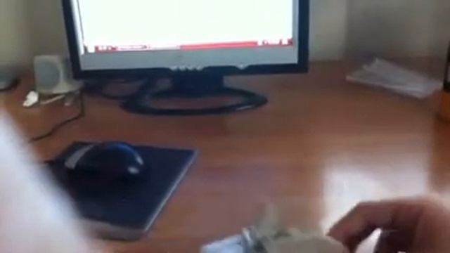 CARDBOARD2011,SPECIAL EDITION: C.PYTHON смотреть онлайн