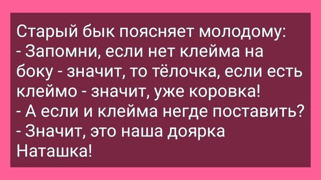 Соседка без Белья Решила Соблазнить Мужика! Сборник Смешных Жизненных Анекдотов! Юмор! смотреть онлайн