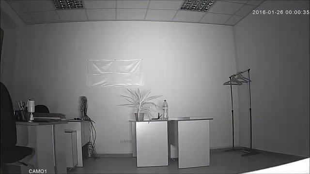 Partizan IPD-1SP-IR POE (day & night) смотреть онлайн