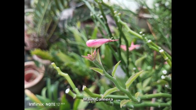 You should consider this Infinix Note 12 2023 Anti Lag-Lag Club in Malaysia смотреть онлайн