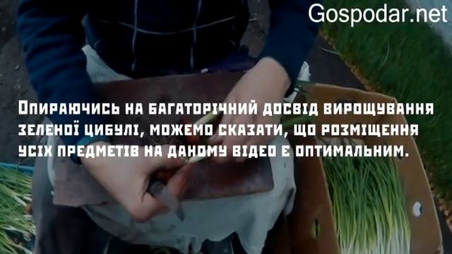 Выращивание зелени лука от А до Я Подробная Инструкция! Вирощування Зеленої Цибулі від А до Я смотреть онлайн