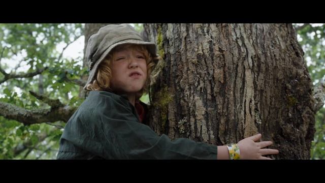 Cocaine Bear (2023) Кокаиновый медведь (2023) смотреть онлайн