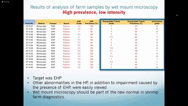 Managing the hazard of Enterocytozoon hepatopenaei in shrimp farming to optimize productivity смотреть онлайн