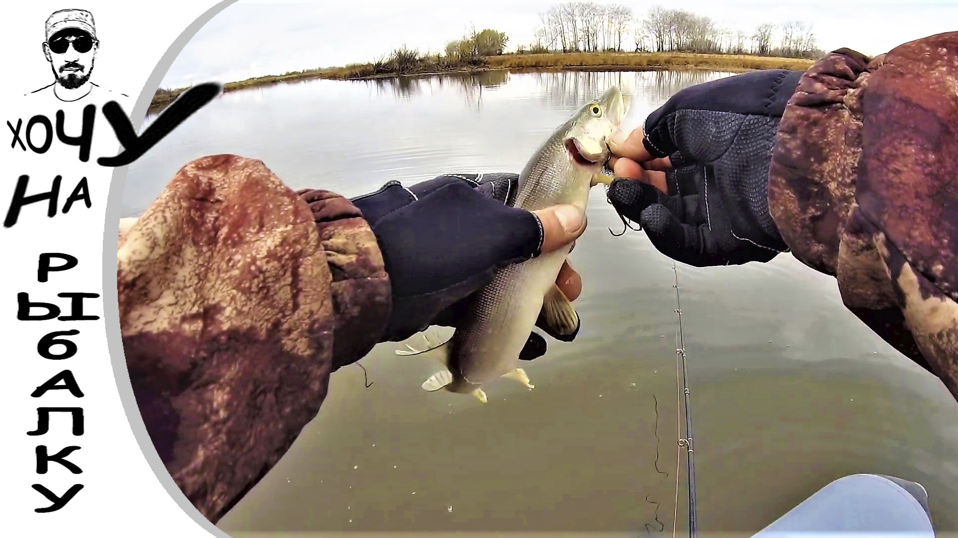 ЗДЕСЬ ТАКАЯ РЫБА, ЧТО БЕЗ ТРУСОВ В ВОДУ НЕ ЗАЙТИ. разрушители легенд смотреть онлайн