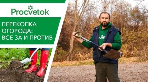 Копать или не копать огород осенью? Разберем все ЗА и ПРОТИВ
