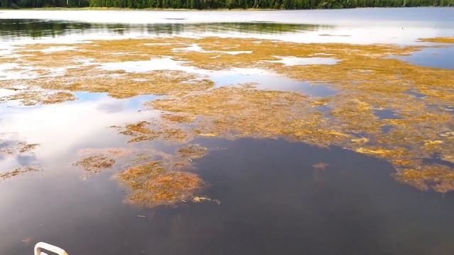 Мобильные зарисовки со смартфона смотреть онлайн
