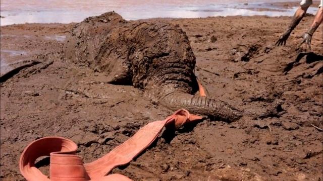 Слон по уши увяз в трясине из грязи на краю дамбы, только посмотрите кто пришёл ему на помощь смотреть онлайн