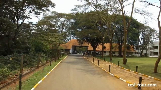 Выезд из Национального парка Найроби (Leaving the Nairobi National Park) смотреть онлайн