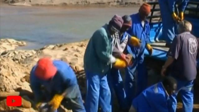 5 ТАИНСТВЕННЫХ ВЕЩЕЙ, НАЙДЕННЫХ В ПУСТЫНЕ смотреть онлайн