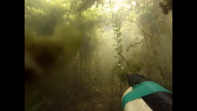 Первая рыбалка с go pro смотреть онлайн