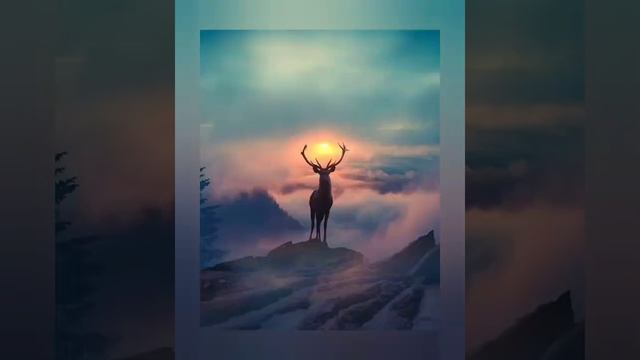 Волшебная музыка и очеровательная природа 2020 смотреть онлайн