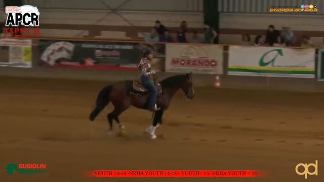 NRHA MAY BE SLIDING APCR 2018 - GAUDENTI COSTANZA sul suo ARDITO DESIO con score 67,5 смотреть онлайн