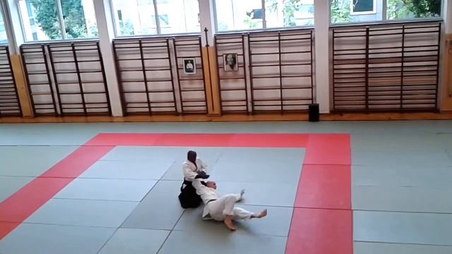 Aikido Yoshinkan Demonstration by Joe Thambu in Munich 2013 смотреть онлайн