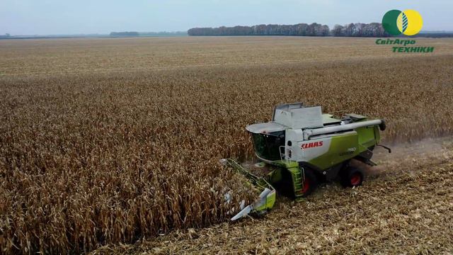 Комбайн CLAAS LEXION 760 на збиранні врожаю, кукурудза смотреть онлайн